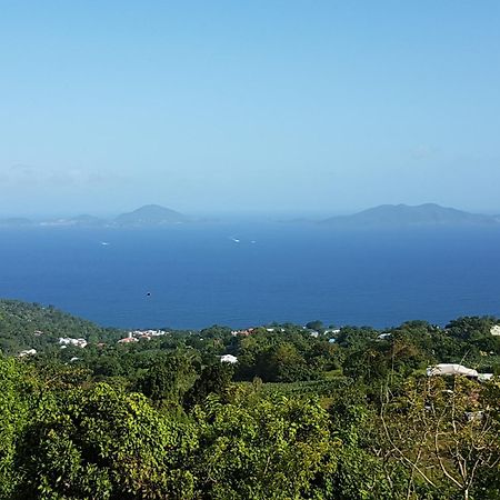 L'Ilot Fruits Guadeloupe Βίλα Trois-Rivières Εξωτερικό φωτογραφία