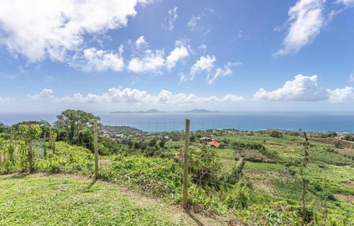 L'Ilot Fruits Guadeloupe Βίλα Trois-Rivières Εξωτερικό φωτογραφία