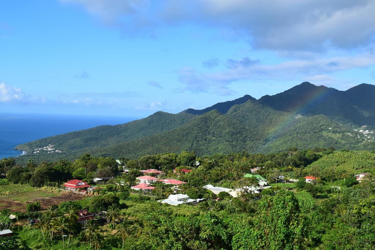 L'Ilot Fruits Guadeloupe Βίλα Trois-Rivières Εξωτερικό φωτογραφία